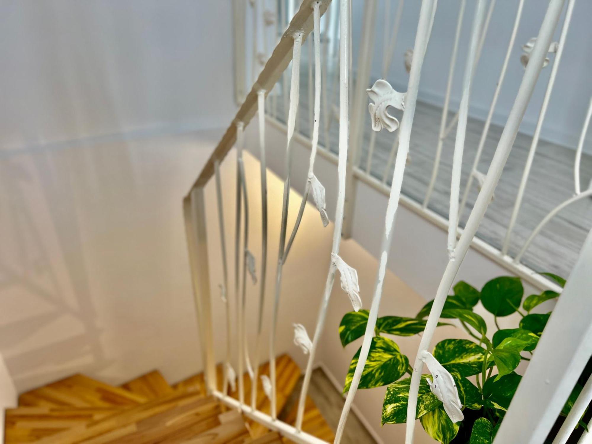 Blue Boho Boutique Villa Braszów Zewnętrze zdjęcie